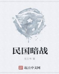 民国暗战