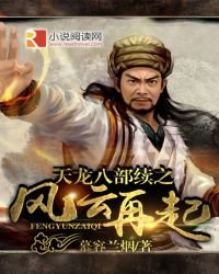 《天龙八部续之风云再起》