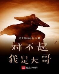 《对不起,我是大哥》
