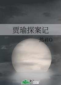 （红楼同人）贾瑜探案记