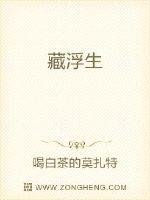 《藏浮生》