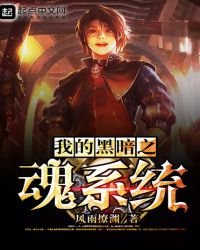 《我的黑暗之魂系统》