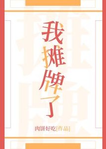 《我摊牌了》
