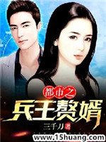 《都市之兵王赘婿》