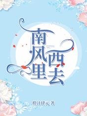 南风里西去