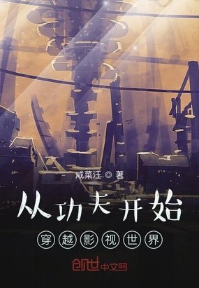 《从功夫开始穿越影视世界》