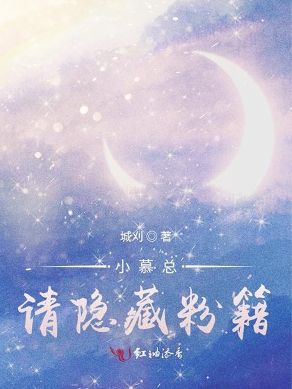 《小慕总,请隐藏粉籍》