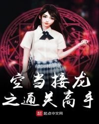 《空当接龙之通关高手》