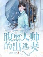 《腹黑大帅的出逃妻》