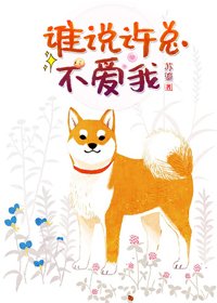 我和联姻对象HE了/谁说许总不爱我