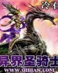 《异界圣骑士》