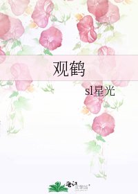 《观鹤》