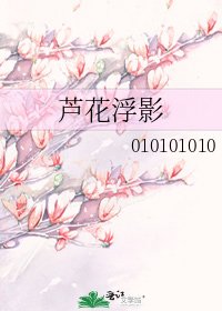 《芦花浮影》