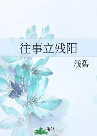 《往事立残阳》