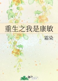 重生之我是康敏
