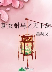 《新女驸马之天下劫》
