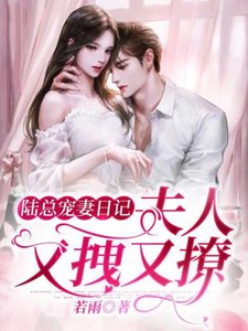 《陆总宠妻日记夫人又拽又撩》