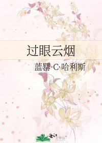 《过眼云烟》