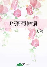 《琉璃菊物语》
