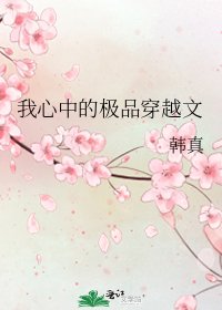 《我心中的极品穿越文》