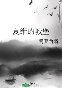 《夏维的城堡》