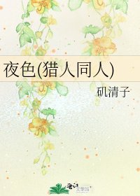 夜色(猎人同人)