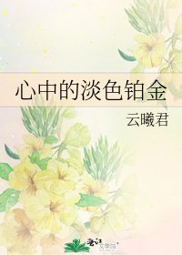《心中的淡色铂金》