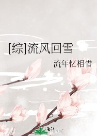 [综]流风回雪