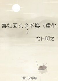 《毒妇回头金不焕(重生)》