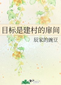 《目标是建村的扉间》