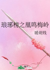 《琅琊榜之凰鸣梅岭》