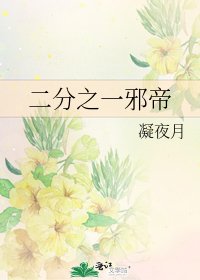 二分之一邪帝