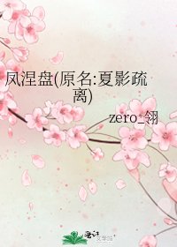 《凤涅盘(原名:夏影疏离)》