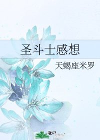 《圣斗士感想》