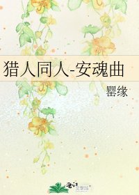 《猎人同人-安魂曲》