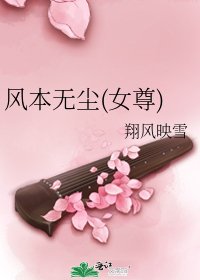 《风本无尘(女尊)》