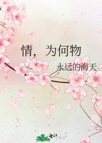 《情,为何物》