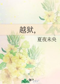 《越狱,》