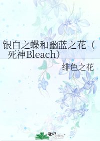 《银白之蝶和幽蓝之花(死神Bleach)》
