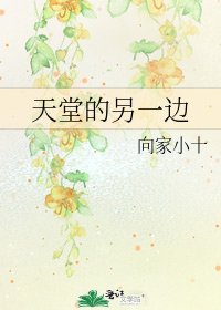 《天堂的另一边》