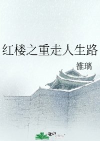 红楼之重走人生路