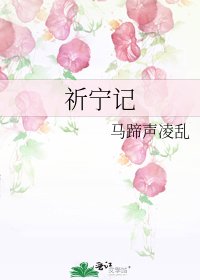 《祈宁记》