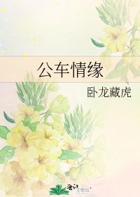 《公车情缘》
