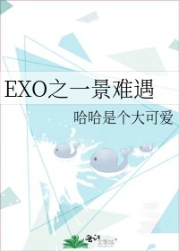 《EXO之一景难遇》