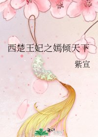 西楚王妃之嫣倾天下