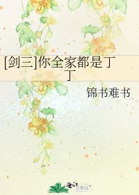 [剑三]你全家都是丁丁