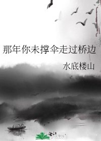 《那年你未撑伞走过桥边》