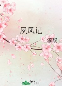 《夙凤记》