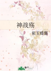 《神战殇》