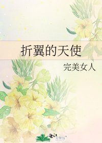 《折翼的天使》